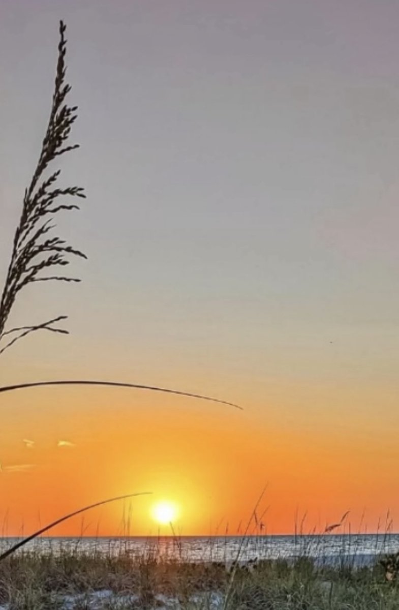 Myprayersforu's tweet photo. Dear Lord, Gracious Father, You called each one of us, according to our abilities, to work in Your harvest. Plant the seeds of good will, kindness, and faith within each one of us. Throughout this day and everyday, may we bring these gifts to harvest in our lives. We are so grateful for the grace and love that You have given us and the guidance that You have provided. Holy Spirit, take us as Your disciples, illuminate us and guide us. Hold our hands so they may do no evil, cover our eyes that they may see evil no more, sanctify our heart that evil may never dwell within us. Remind us to always seek Your guidance, trusting You to have our best interests at heart. Enlighten our hearts by Your holy radiance, so we may serve You without fear in holiness and righteousness all the days of our lives. Through our Savior, Jesus Christ, we pray, Amen 🙏✝️

Psalm 25: 4,5
“Shew me thy ways, O Lord; teach me thy paths;  Lead me in thy truth, and teach me: for thou art the God of my salvation; on thee do I wait all the day.”