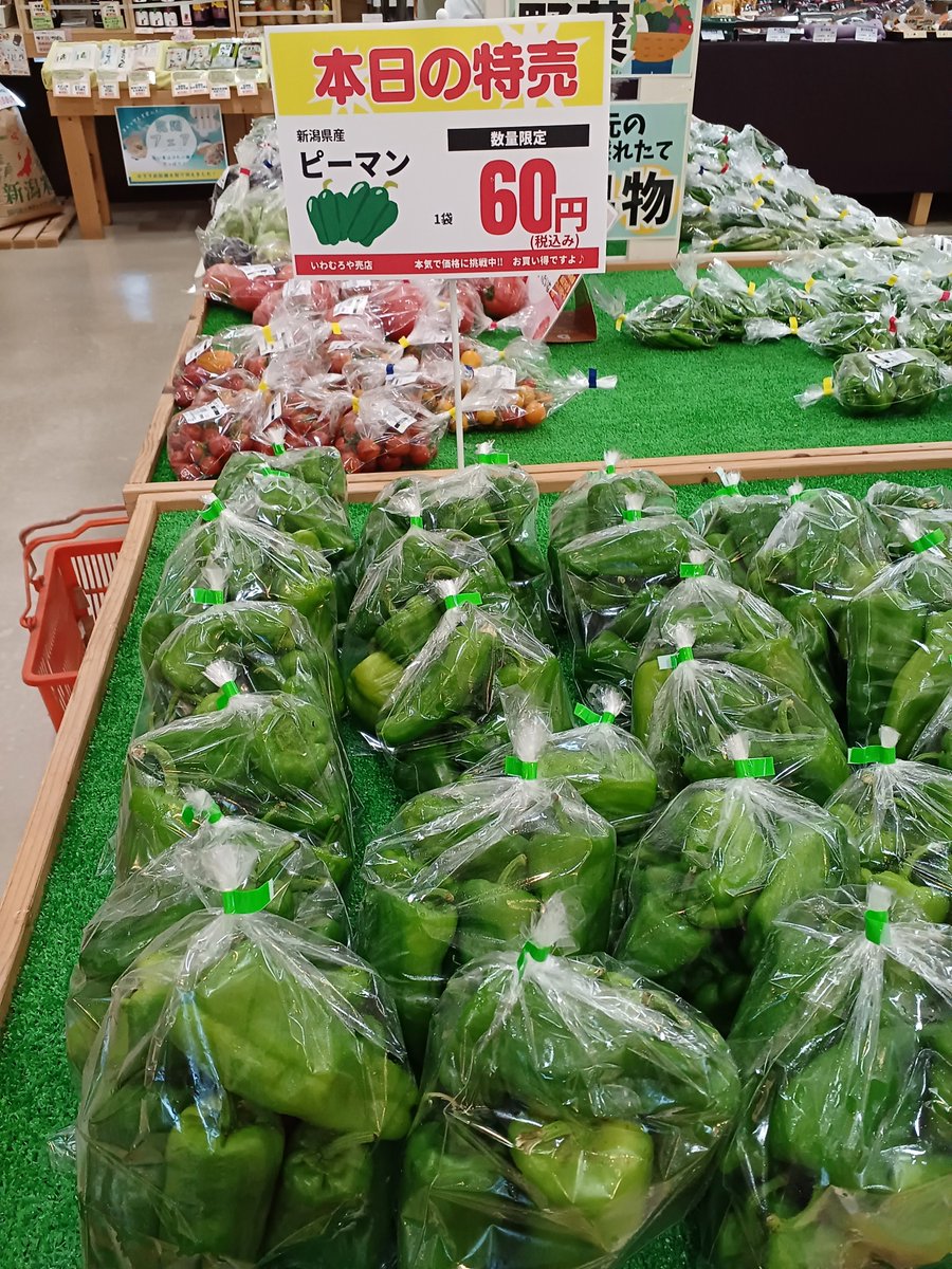 iwamuroya's tweet photo. 毎週金曜日はポイント2倍デーです☺️

本日は大特価品は『#ピーマン』

そしてもう１つのオススメは
『#夕顔』

夕顔　　　                　　         ￥160
ピーマン　　　　       　　       ￥60  　　　　 　
サンゴールドキウイ　　   　￥450
パイン　　　　　　　　　　￥300

など。 https://t.co/rLj2Bg8M1p