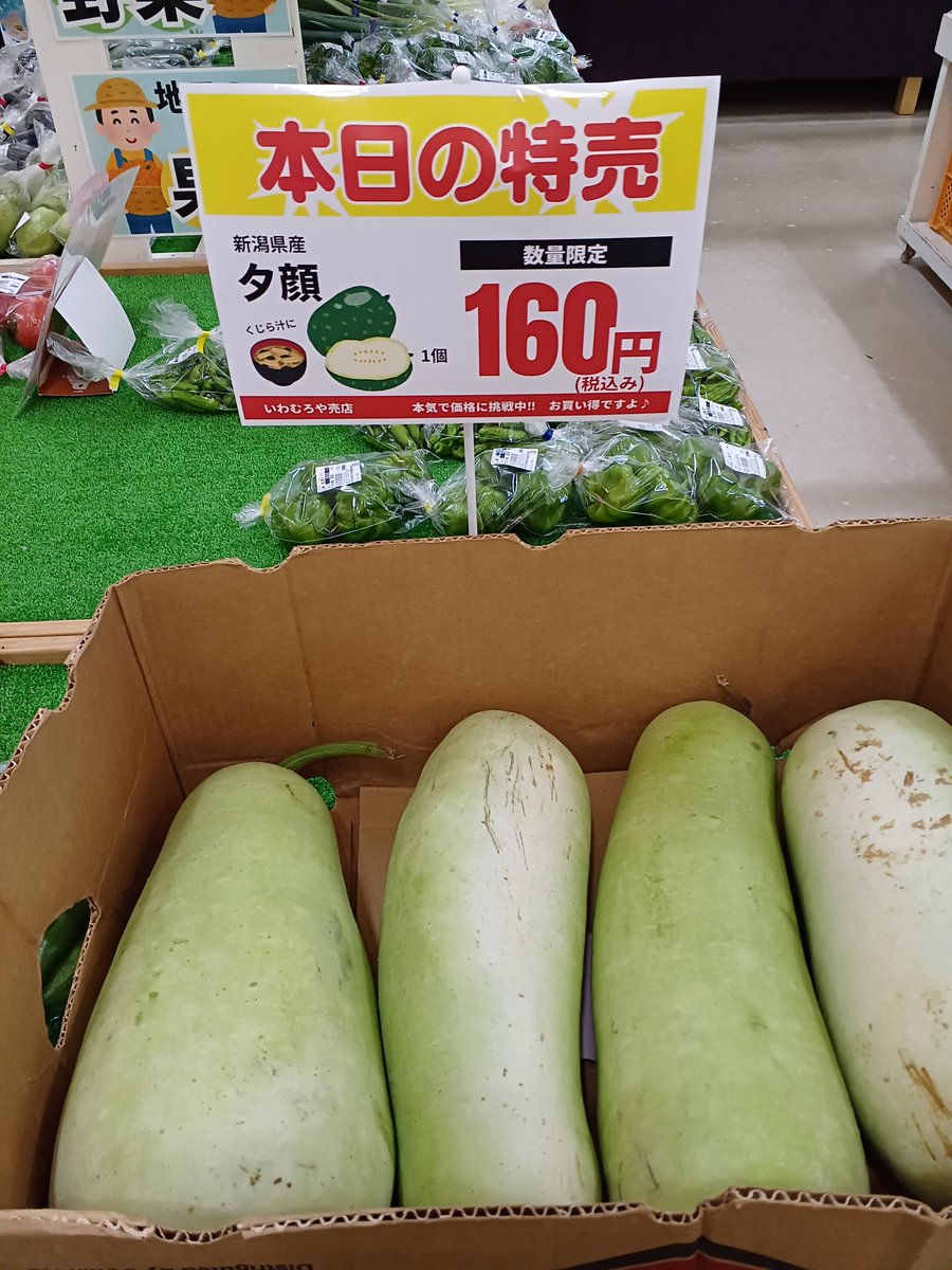 iwamuroya's tweet photo. 毎週金曜日はポイント2倍デーです☺️

本日は大特価品は『#ピーマン』

そしてもう１つのオススメは
『#夕顔』

夕顔　　　                　　         ￥160
ピーマン　　　　       　　       ￥60  　　　　 　
サンゴールドキウイ　　   　￥450
パイン　　　　　　　　　　￥300

など。 https://t.co/rLj2Bg8M1p