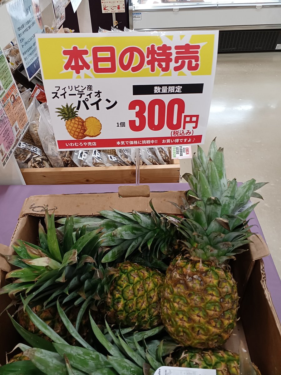 iwamuroya's tweet photo. 毎週金曜日はポイント2倍デーです☺️

本日は大特価品は『#ピーマン』

そしてもう１つのオススメは
『#夕顔』

夕顔　　　                　　         ￥160
ピーマン　　　　       　　       ￥60  　　　　 　
サンゴールドキウイ　　   　￥450
パイン　　　　　　　　　　￥300

など。 https://t.co/rLj2Bg8M1p