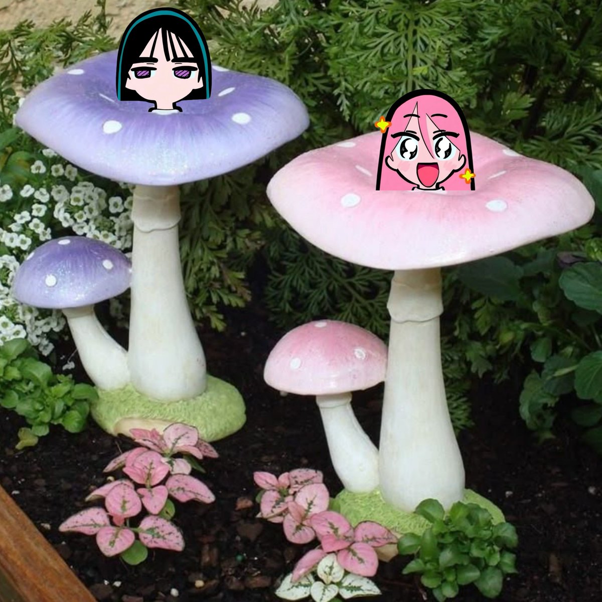 tillgetomywife's tweet photo. mizisua mushroom https://t.co/T4CbjxWyjv