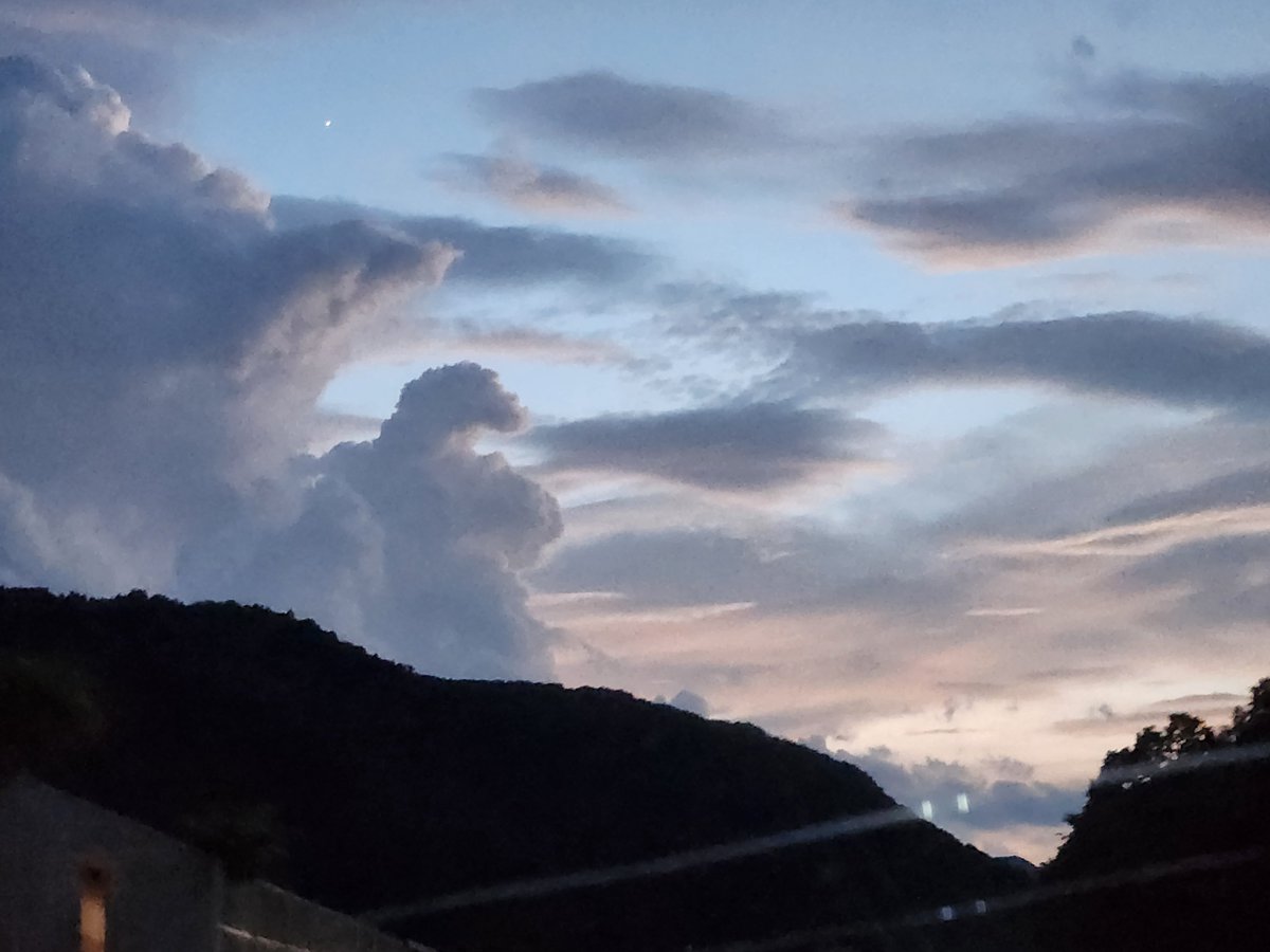 4mini88monkey's tweet photo. 先日見かけたゴジラ https://t.co/60FZqSksHL