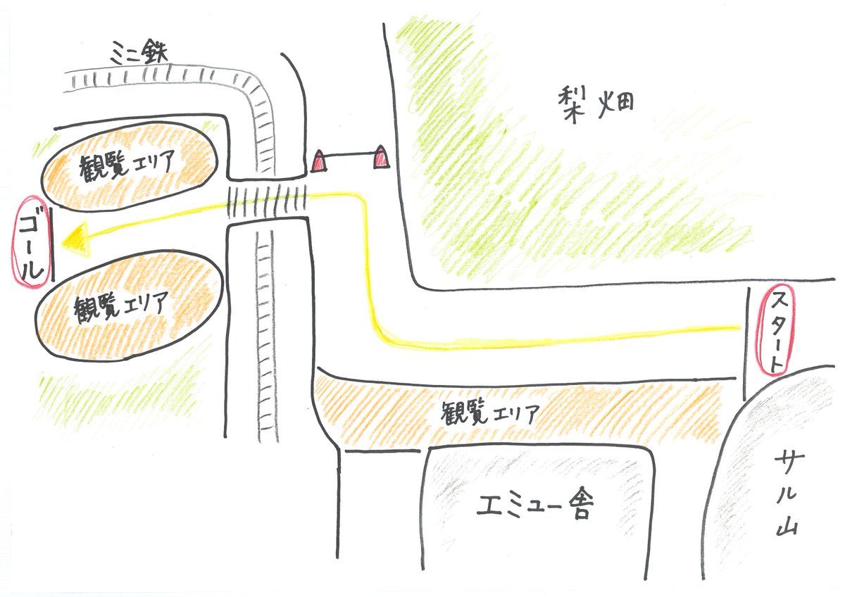 ichikawa_zoo's tweet photo. 本日は「公開アルパカダッシュ」
13時15分エミュー舎横より出走です！

本日も暑くなることが予想されます。こまめな水分補給や休憩をとりながら、イベントをお楽しみください🦙

#市川市動植物園
#アルパカ
#アルパカダッシュ
#公開！！ https://t.co/MsPcPCtEkn