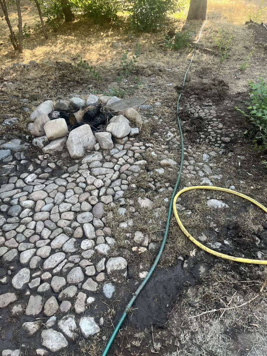 reesepenrod's tweet photo. Discovered most of my yard is actually cobblestone underneath all this dead grass so I spent 2 satisfying hours peeling it off in rolls https://t.co/XOs9c435Sk