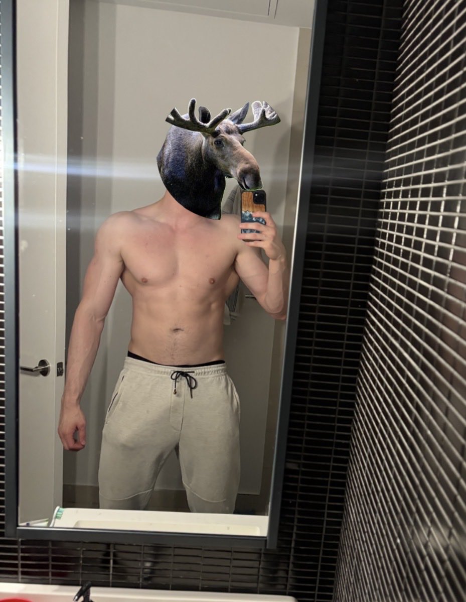 Moose tweet media