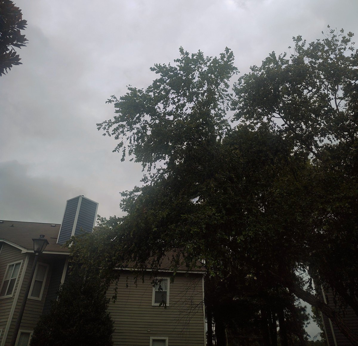 donthaveone707's tweet photo. Testing gg testing ggg https://t.co/9C4R7gzM4w