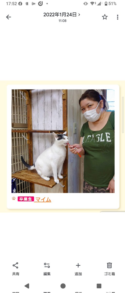 71Usa's tweet photo. 7/31はうちのコ記念日です。
5年経っても毎日可愛い更新中。
記念撮影は異例のちゅ～るあげ。
ちょびに至っては事前に撮り置き。
懐かしい。 https://t.co/710KcUin6Z