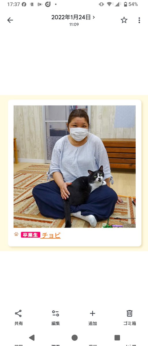 71Usa's tweet photo. 7/31はうちのコ記念日です。
5年経っても毎日可愛い更新中。
記念撮影は異例のちゅ～るあげ。
ちょびに至っては事前に撮り置き。
懐かしい。 https://t.co/710KcUin6Z