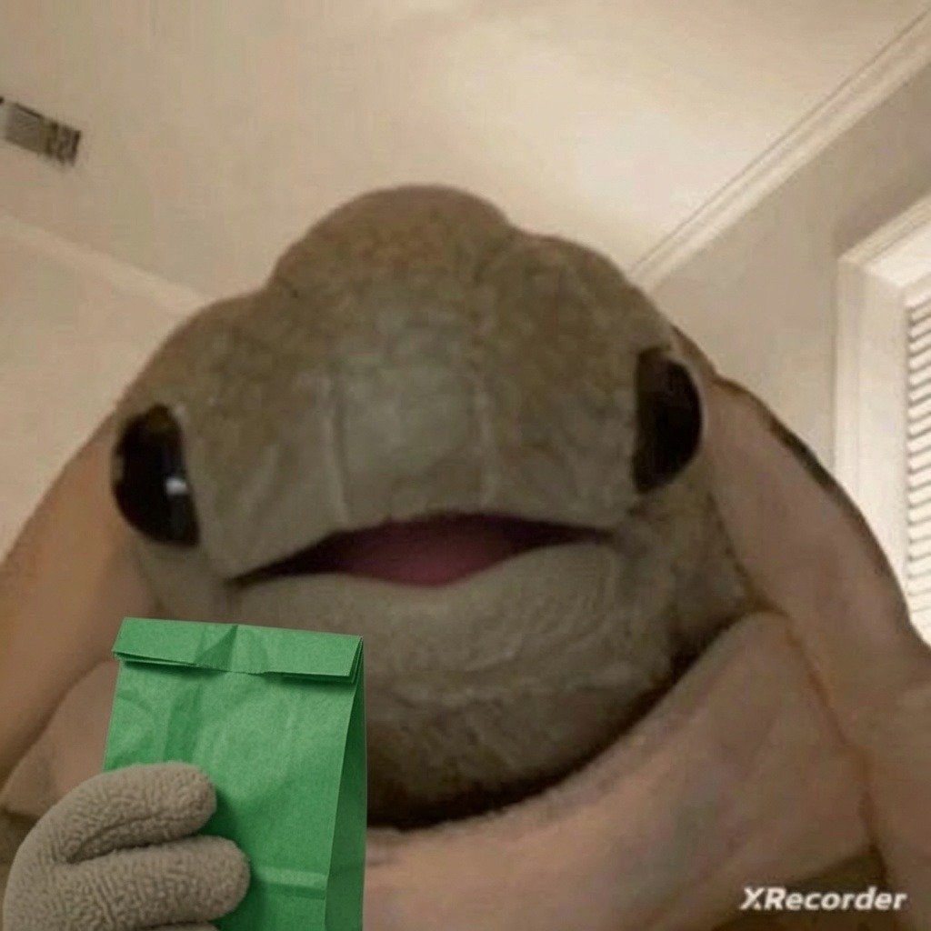 vengewrath's tweet photo. @CryptoKaleo Start observing Tortuga too, you're gonna be surprised.
Soon🐢 https://t.co/bEZCq2WA7x