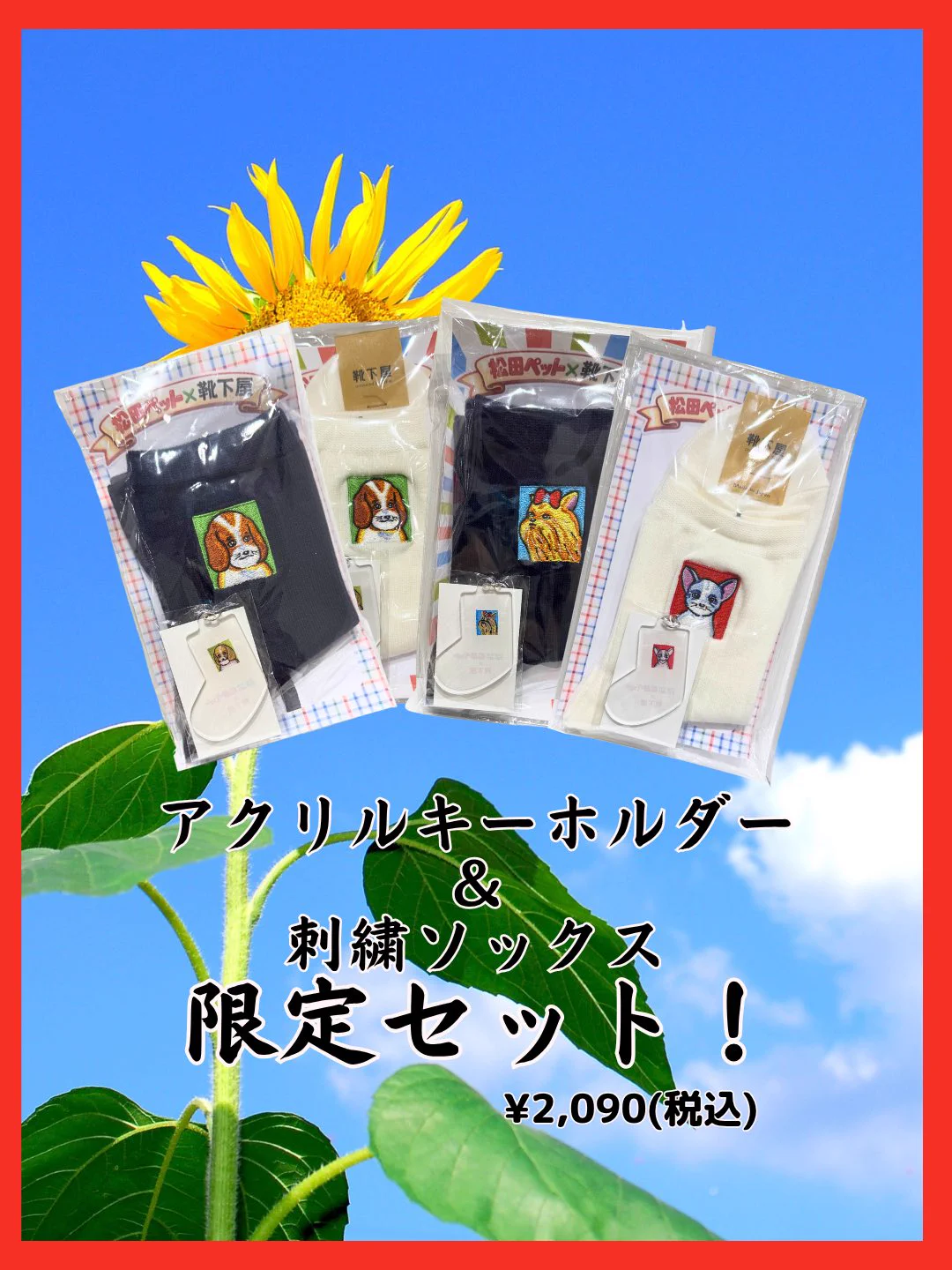 cocolo様確認用 X-এ CoCoLo新潟: 