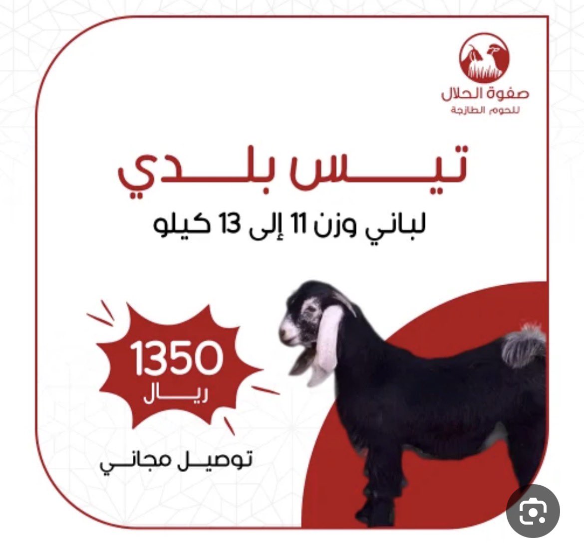 nootsaudd's tweet photo. @aldahmiflo جونز https://t.co/qr0Xdz2aY6