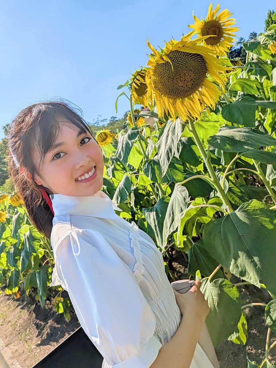 followadream's tweet photo. K+TONEことねです！
#吹奏楽コンクール
残念ながら、九州大会への出場は叶いませんでした💦
それでも、4年ぶりのWゴールド金賞🥇は本当に誇りです!!
先輩たちと過ごす日もあと少し。
定期演奏会、思いきり楽しみまーす♡
#ひまわり🌻見ると元気になるね🧡

#音楽好き #鹿児島  #アイドル志望 #JC2 https://t.co/05HJK3buAD