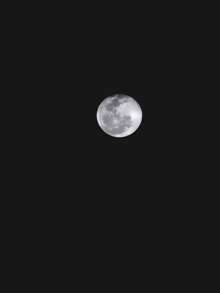OMateusMattos's tweet photo. The moon https://t.co/Ty0PUJKoHh