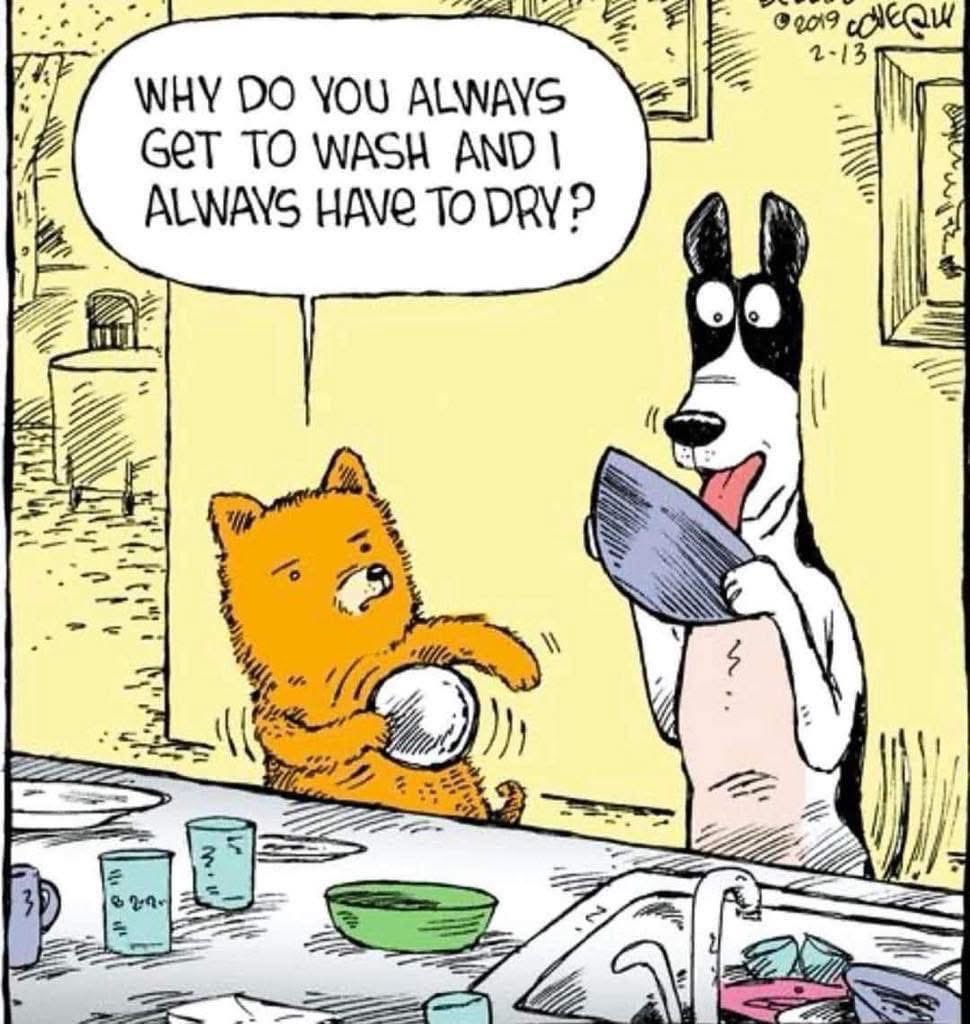 DVMFocus's tweet photo. #DVMFocus #Veterinarian #DVM #VetMed #VetJobs #VeterinaryJobs #HiringVeterinarians #VeterinaryCareers #AssociateVeterinarian #VetRecruitment #VeterinaryRecruiter #VetLife #SmallAnimalVet #EmergencyVet #NewGradVet #VetMedCommunity #VeterinaryProfession https://t.co/FsDn2OISeA