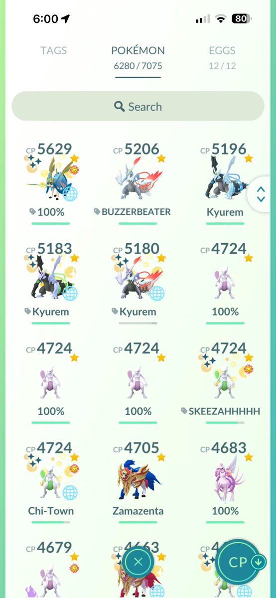 BrisonPorter07's tweet photo. @r9yfp Top mons and hundos https://t.co/MmIZRp7jw5