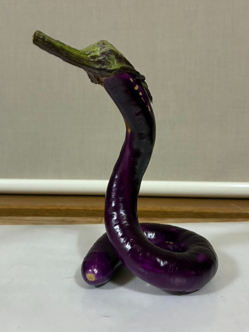 akitainuho's tweet photo. 突然ですが事務長が作った茄子見てください🐍 https://t.co/vG0OOHOW2Z