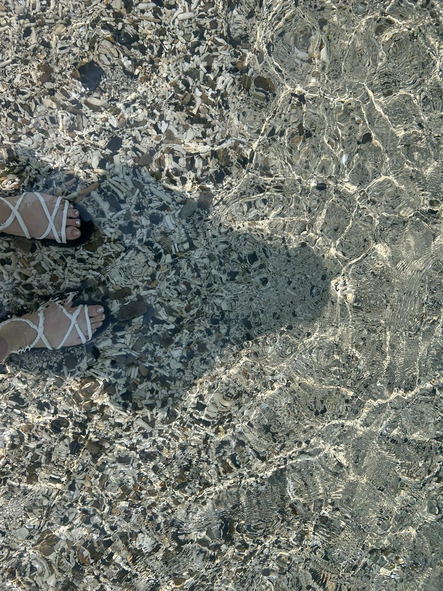 _n_d_k_dd's tweet photo. ラムネファイナルを見届けて、そのまま奄美大島まで行ってきたけど奄美の海より夕日より推しメンのほうが綺麗だったな……
海、あづたいがカラーだったしな……💚🩵 https://t.co/bEnlwxvTLi