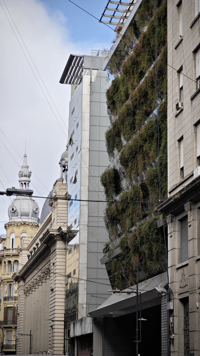 CesarMassi's tweet photo. Que lindo es ver en Rosario estas cosas.
Esto es una ciudad que sí.
Ojalá menos constructoras apurandose para sacar árboles y más las que se animen a esto. https://t.co/nJZYdslU89