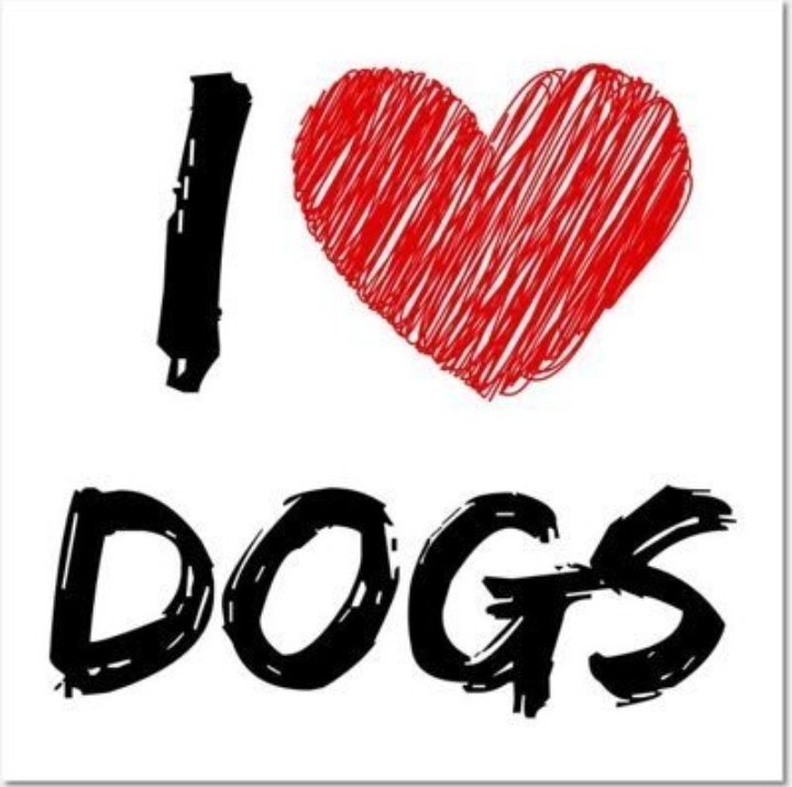 JamesRobert03's tweet photo. #zoosarevalid

#beastiality

#dogknot

#zooprideisvalid

#zoophile

#antizoo

#k9girl

#zoopride

#zoophilepride

#zoopositivity

#zelena

#Bestiality

#UK

#USNSFW 

#Canada https://t.co/3TyTZy0pDL