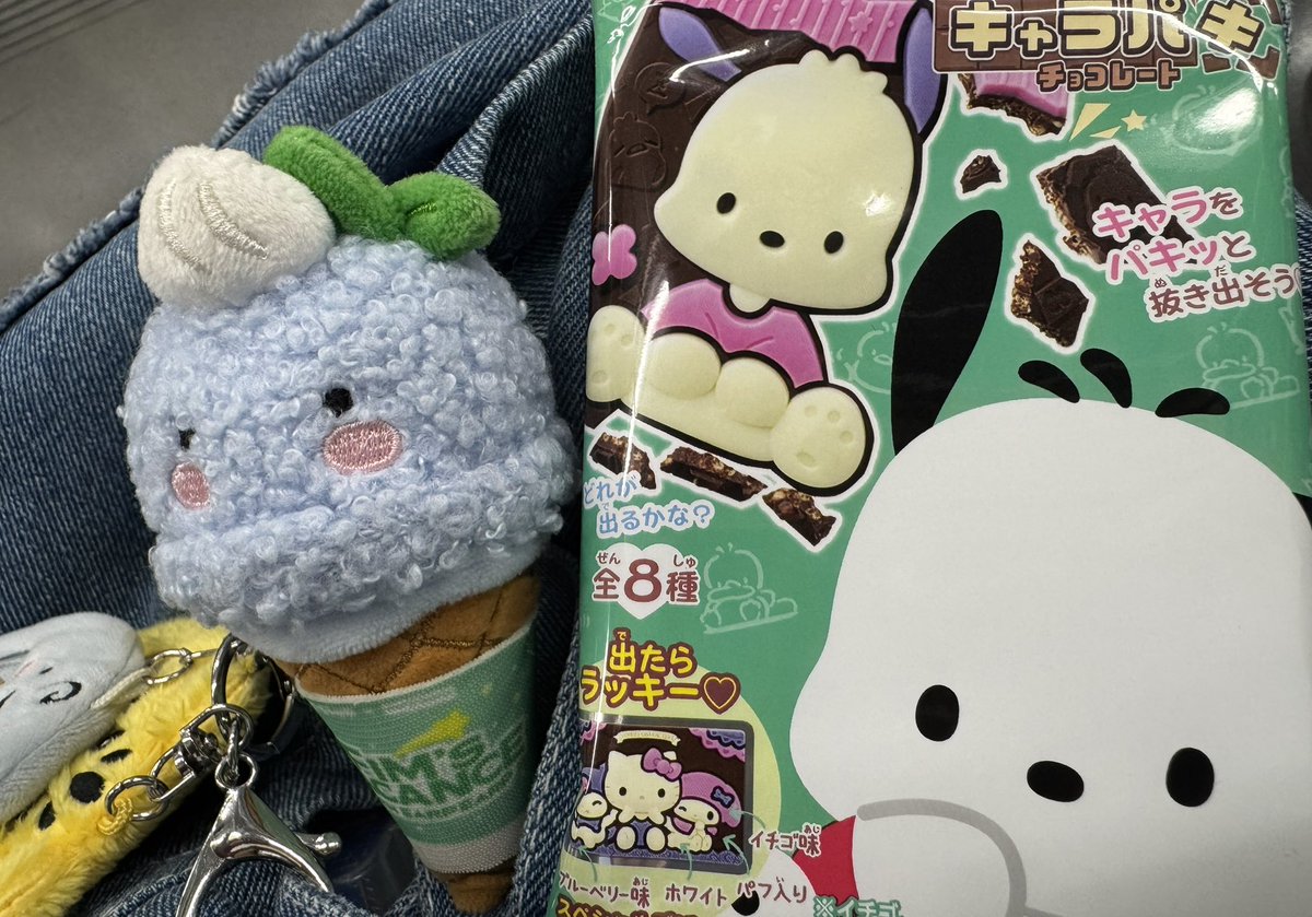 ricottaaa_LE's tweet photo. そういえば、神奈川公演の後退場の時にキャラパキが全員に配布されていました✨
運良くポチャッコをゲット💚
大阪公演ではなかったので神奈川公演だけの特典？かも https://t.co/UZ6BSAZs2Y