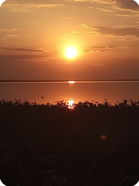 MarceloC61's tweet photo. Dorada tarde
Dorado sol
Dorado río 
Dorado cielo
Sobre Oscura
Naturaleza de 
La orilla

Nas Noches

Laguna Blanca
Parque Nacional Pilcomayo
Misiones🇦🇷
📸DanCarl
Thomas https://t.co/jFi4RS6Qep