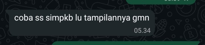 aescantik_'s tweet photo. Jumat gua rusak grgr chat ini https://t.co/v4aVYjrsbo