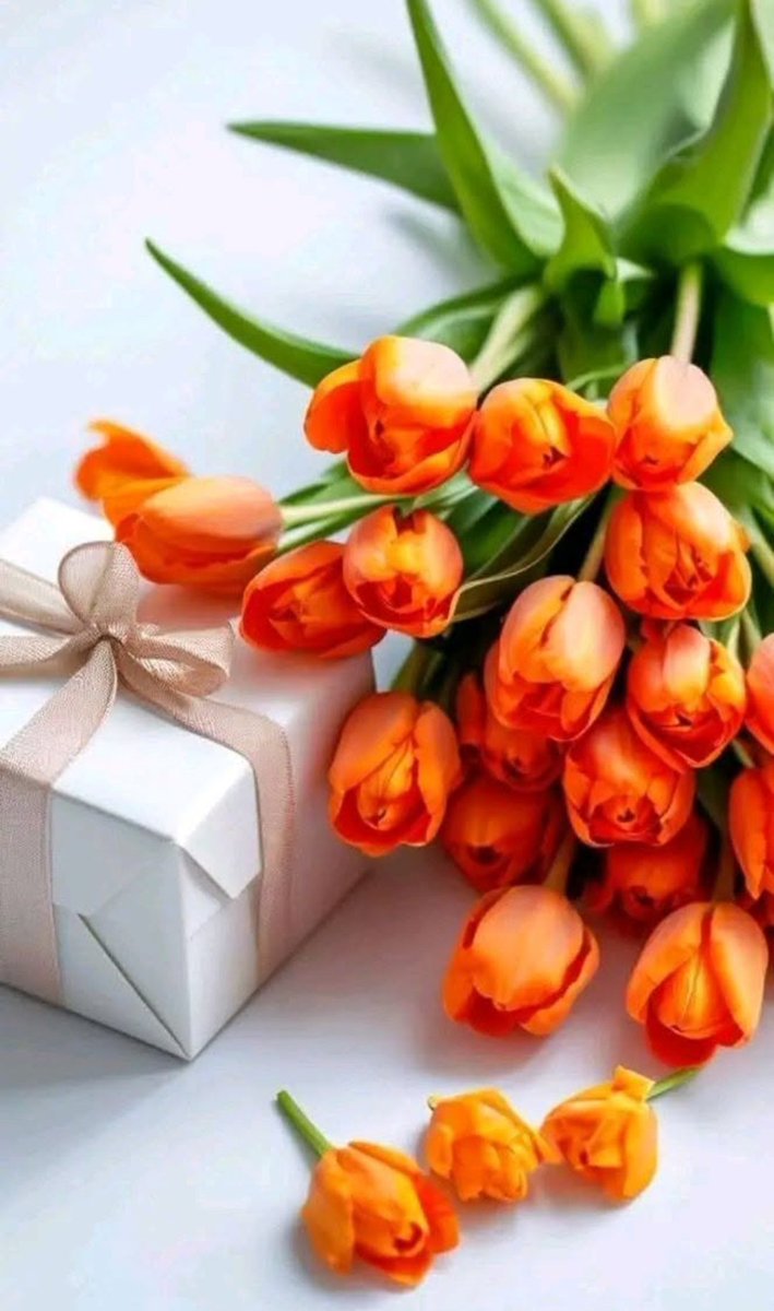 mekhansahib's tweet photo. @zargona_ https://t.co/EFp8StyxaY