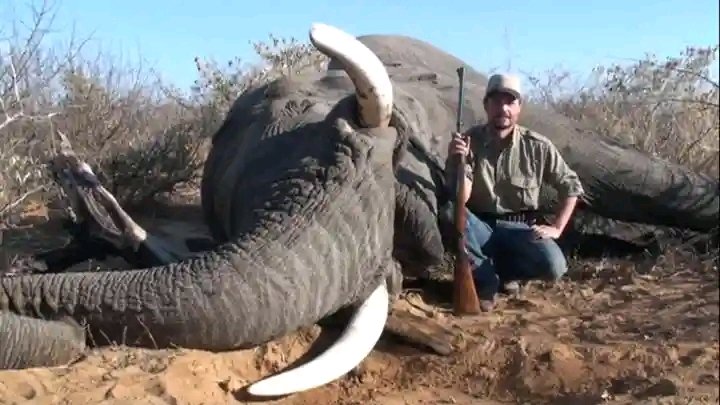 BlackLilith_25's tweet photo. I hate African governments that allow these environmental terrorists to trophy hunt https://t.co/bIoVfgr8Co