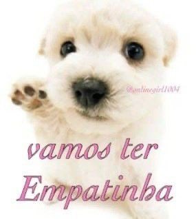 noperriesure's tweet photo. hoje tive que fazer um trabalho sobre bullying com os alunos militei horrores e agora tô aqui fazendo bullying com pessoas na internet https://t.co/ahDA8FfRdM