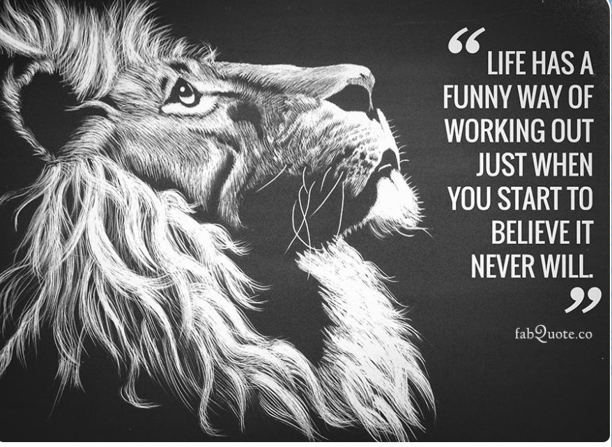 Aussie08Tiger's tweet photo. https://t.co/h5S2bJZHHG