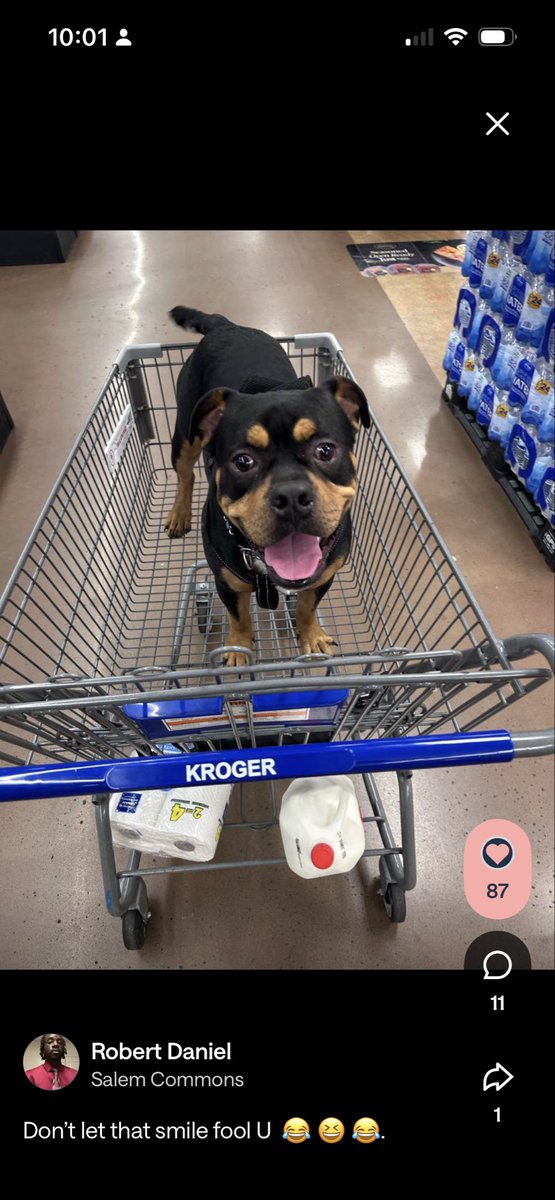 _ImHim15's tweet photo. Everyone meet PRINCE !!! https://t.co/GXNmwbHb0y
