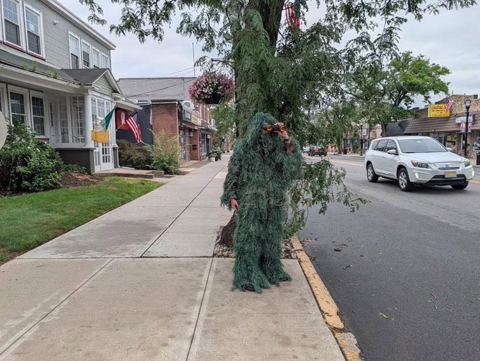 WilkowMajority's tweet photo. No joke....This is a Dunellen, NJ police officer who is disguised as a shrub to catch "distracted drivers". That's literally American citizens drinking their coffee on the way to work. if they grab an illegal they will let them go. But a citizen? With coffee? They will throw the book at them. 
@wakeupnj @MikeCrispi @BillSpadea @votebergen 
https://t.co/Cl6eHCBQHB