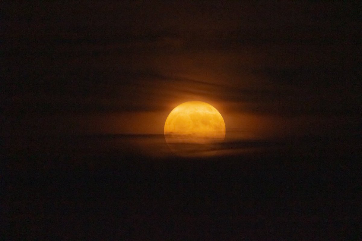 astro4pics's tweet photo. The Moon is beautiful, isn't it? https://t.co/TBwMLA25B1