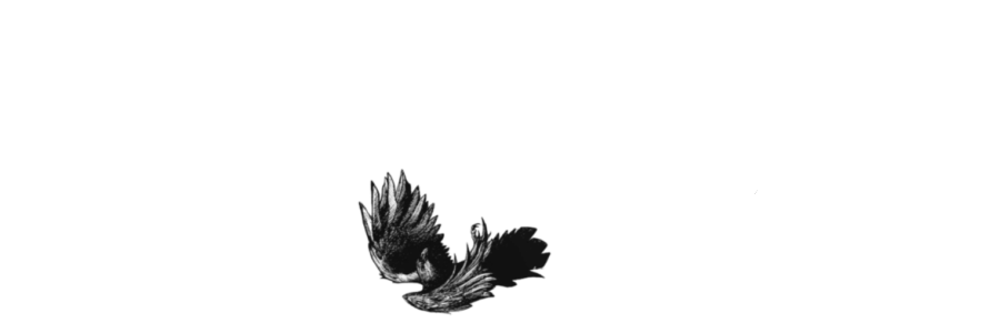 itsbirdboy's tweet photo. https://t.co/lOaLir8z48