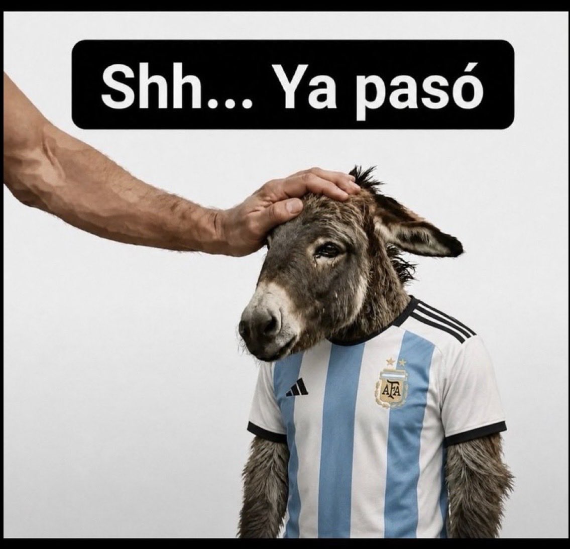 Adrian_Lopez97's tweet photo. @AlejLuc40380 @OPRArgentina @agusantonetti yaaa shhh, gracias por la admiración crack..

guarda las energías monito, ya pasó tu comida de hoy, recuerda es hasta mañana la siguiente campeón 😉 https://t.co/kZn3lGbmgR