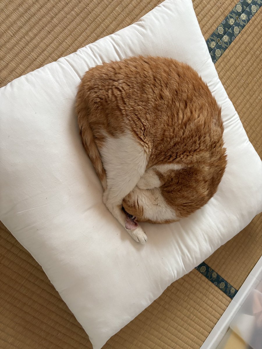 OSN53go's tweet photo. で、こう。 https://t.co/1NKQp3cBcC
