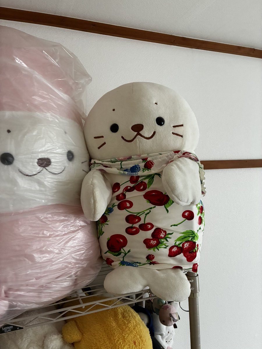 love_shiro's tweet photo. え…えっ…ちょっと待って
名西のマザガ閉店しちゃうの？！突然すぎて理解できない…大きいパペちゃんお迎えした思い出深いお店がまたひとつなくなっちゃうなんて…😢 https://t.co/BLBrzRumeU