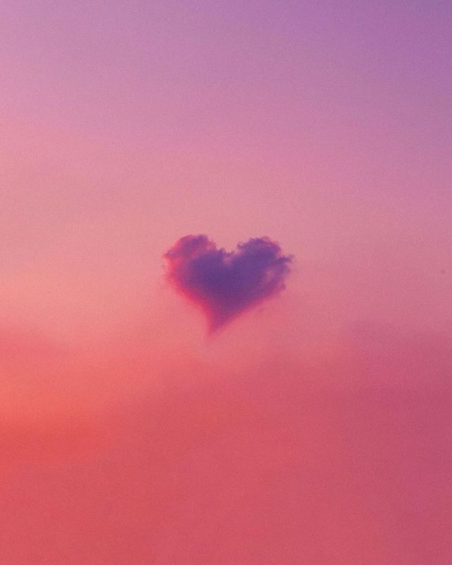 aestheticspost_'s tweet photo. ♥️ https://t.co/hXqHSfC7TL