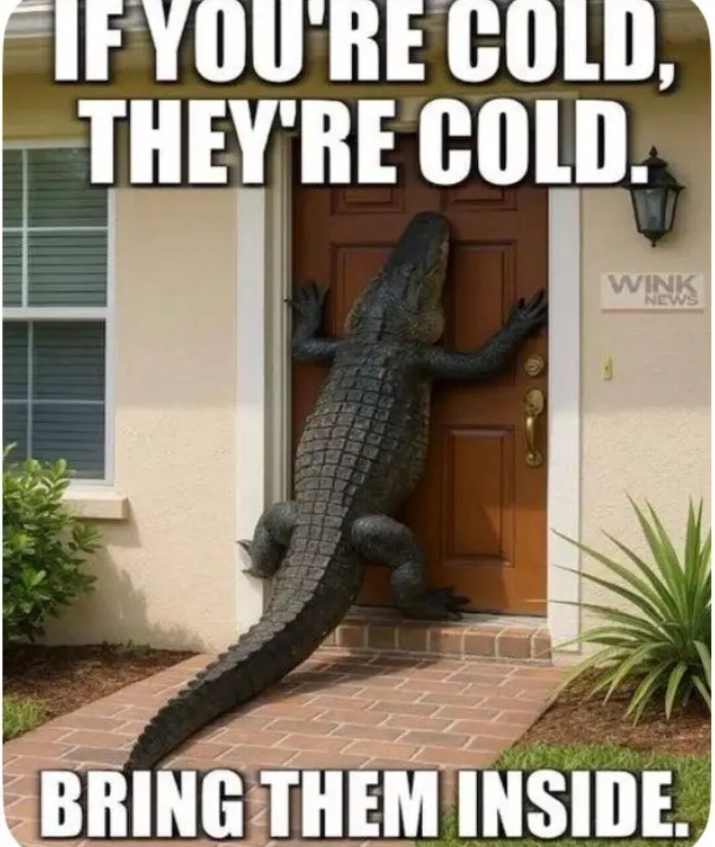 WholesomeMeme's tweet photo. https://t.co/j3eiXMV6vP