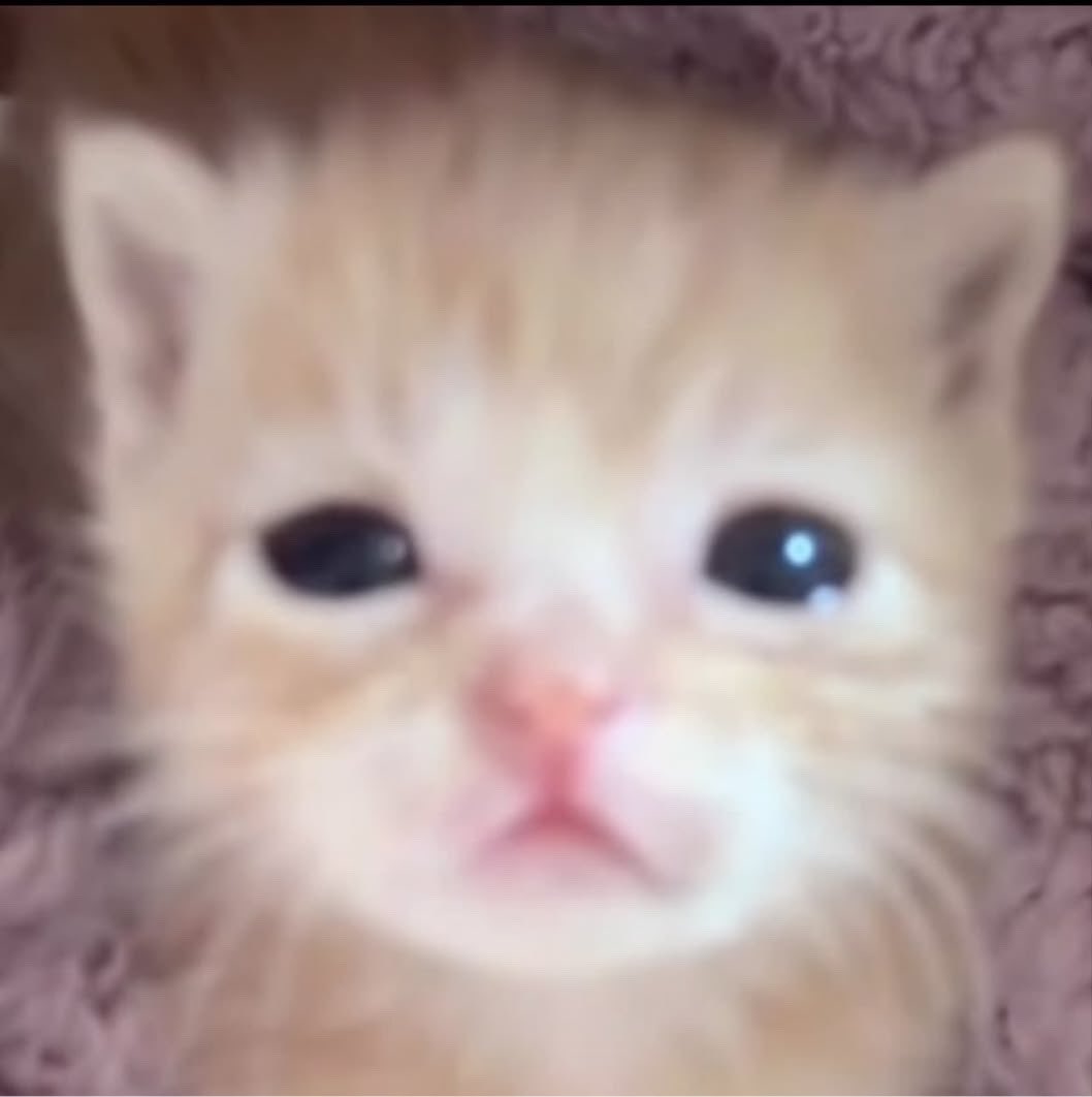 r3dm0chi's tweet photo. 🥺 https://t.co/LyTcHKCdtn