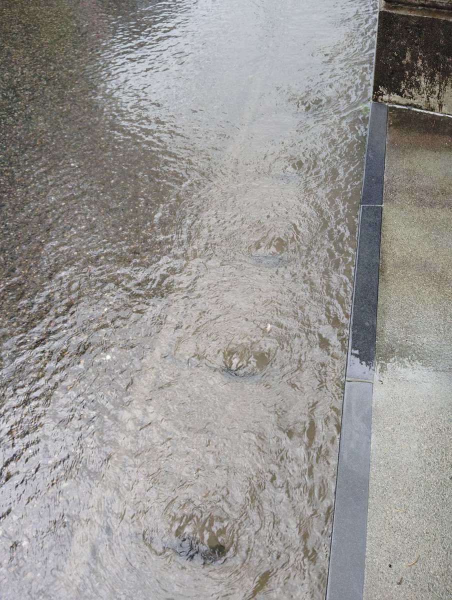 3575Suzu's tweet photo. 家の前がぁ

雨　すごかったぁ https://t.co/xZRYeNsH9c