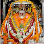 Photo by Dr.Sanjiv Kumar Bakshi (@bakshisk)