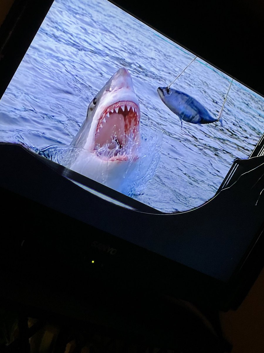 ReidsWoman's tweet photo. Can they breach??? Of course they can!!! #trainagreatwhite #sharkweek @Discovery @SharkWeek https://t.co/Doqe0FlyUu