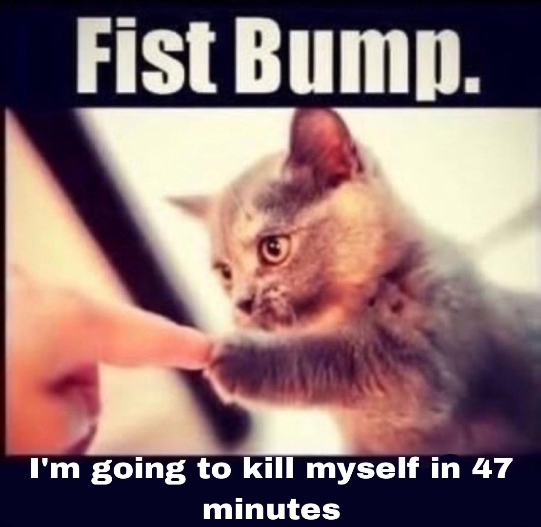the47cat's tweet photo. https://t.co/O2qSl5HNin