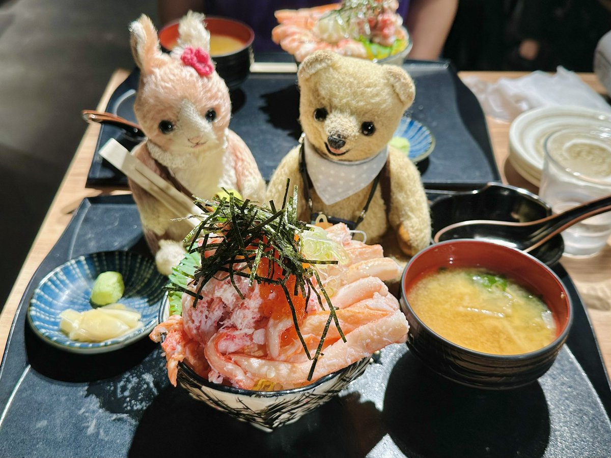 taihei_kun's tweet photo. 🐻北陸旅行⑬
#福井 ではカニを食べたよ🦀✨
カニがたくさんのった海鮮丼に大喜び😆

コンロの上には #カニ缶々焼 🦀
フタを開けたら…カニがい〜っぱい‼️😳💕

北陸のごちそうをたくさん食べて、大満足の旅だったよ😋💕

#旅するテディベアたいへい君
#旅するテディベア
#ぬい撮り
#蟹ヱ門 https://t.co/sQwb2NG1K7