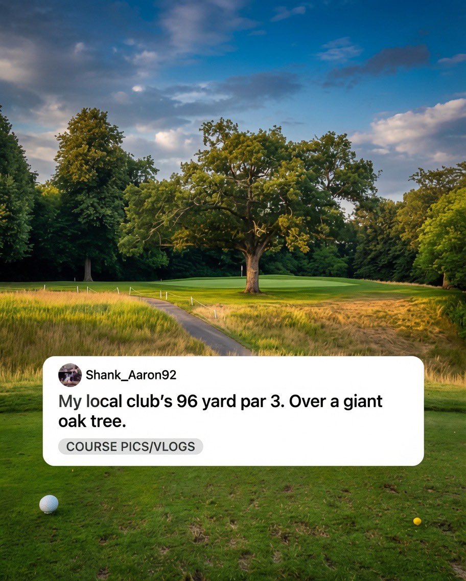 NUCLRGOLF's tweet photo. 🚨🌳🏌️ #DISCUSSION —  You’re 96 yards out. Huge tree in your way. Cart girl is watching.

How would you play this shot? https://t.co/PRJ6E66NkT
