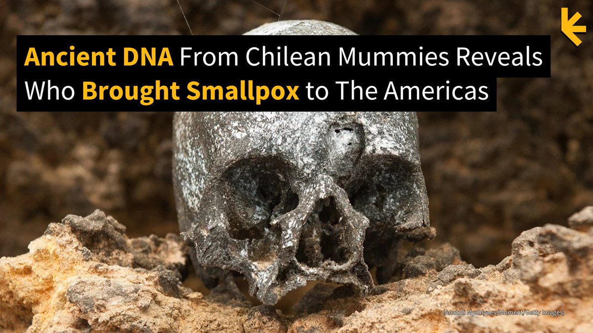 ScienceAlert's tweet photo. For the first time, scientists have found direct genetic proof that smallpox brought by European colonizers devastated Indigenous communities in the Americas. 

https://t.co/Y7m2zLRJbx https://t.co/8EFy6KsdRG