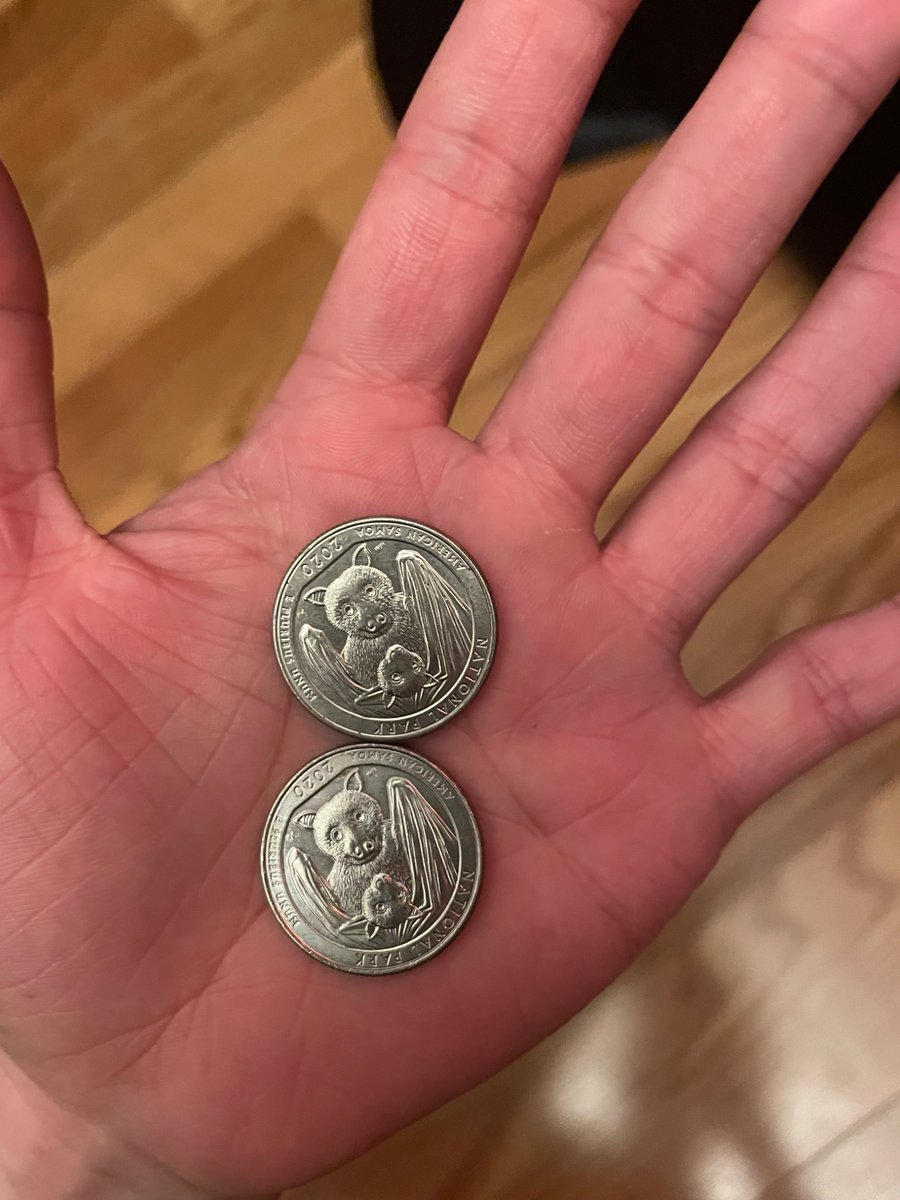 isopodarmour's tweet photo. whenever i get a quarter with the bats on the back i refuse to spend it. they are too cute. i would never trade my cute bat quarters. not even for a delicious soda or bus fare. https://t.co/BWH5pX8v2x