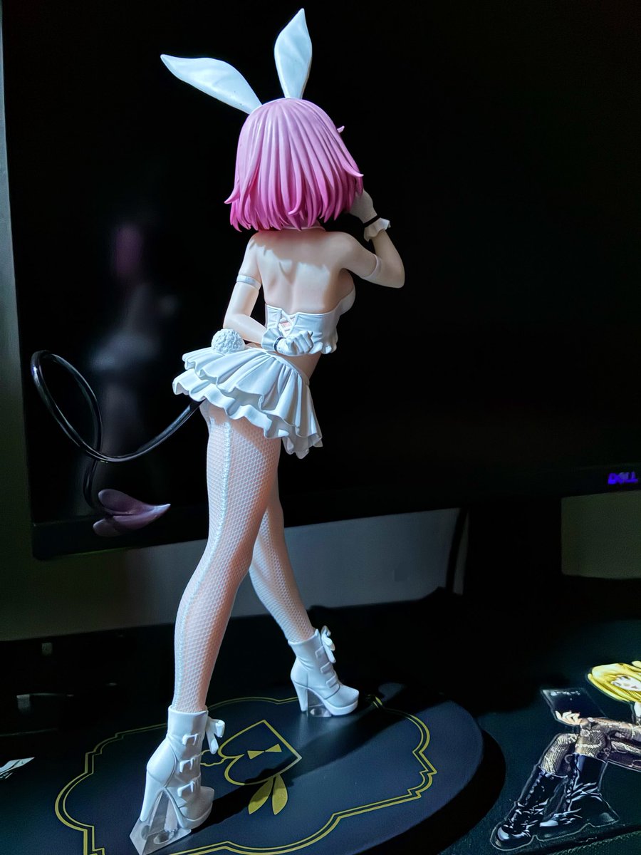 CorbinD47117769's tweet photo. My newest bunnygirl figure arrived today, this is one I’ve had my eye on since its announcement so I had to order one for myself. Amazing details all the way thru! #bunnygirls #animefigures #pvcfigures #figurecollection #waifuanime https://t.co/mdIjPLJ3rW