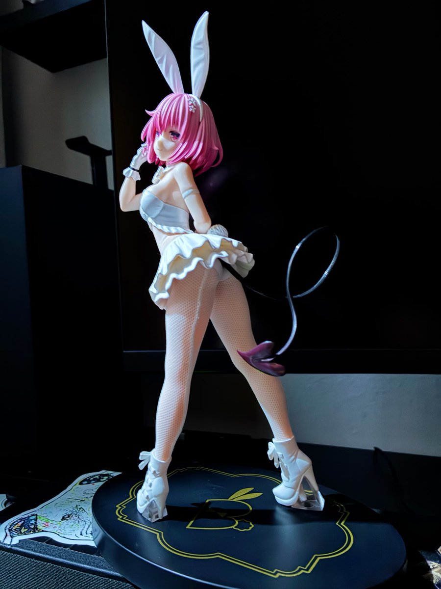 CorbinD47117769's tweet photo. My newest bunnygirl figure arrived today, this is one I’ve had my eye on since its announcement so I had to order one for myself. Amazing details all the way thru! #bunnygirls #animefigures #pvcfigures #figurecollection #waifuanime https://t.co/mdIjPLJ3rW